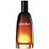 Christian Dior Fahrenheit toaletná voda pre mužov 30 ml