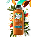 Herbal Essences Smooth Golden Moringou Oil Šampón s moringovým olejom, pre hladké vlasy a ľahké rozčesávanie, bez parabénov 400 ml
