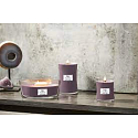 WoodWick Amethyst & Amber - Ametystová a jantárová vonná sviečka s dreveným knôtom a skleneným viečkom veľká 609,5 g