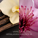 Air Wick Botanica Vanilka a himalájska magnólia vonná sviečka sklo, doba horenia až 40 hodín 205 g