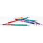 Colorino Pastelky trojhranné Disney Frozen obojstranné 24 farieb