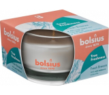 Bolsius True Freshness sviečka s vôňou Fresh Breeze v skle 80 x 50 mm