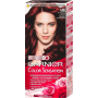 Garnier Color Sensation farba na vlasy 4.60 Intenzívna tmavo červená