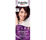 Schwarzkopf Palette Intensive Color Creme farba na vlasy 6-99 Intense Purple