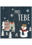 Nekupto Přání vánoční Pro Tebe 100 x 100 mm