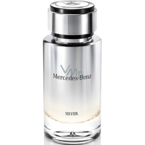 Mercedes-Benz Mercedes Benz Silver for Men toaletní voda 120 ml Tester