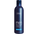 Ziaja Men Duo Concept sprchový gél 300 ml