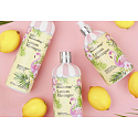 Baylis & Harding Cukrovej pusinky tekuté mydlo na ruky dávkovač 500 ml