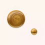 Catrice ICONails Gelový lak na nechty 156 Cover Me In Gold 10,5 ml