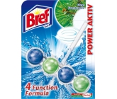 Bref Power Aktiv 4 Formula Pine Freshness WC blok na hygienickú čistotu a sviežosť vašej toalety, farbí vodu 51 g