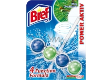 Bref Power Aktiv 4 Formula Pine Freshness WC blok na hygienickú čistotu a sviežosť vašej toalety, farbí vodu 51 g