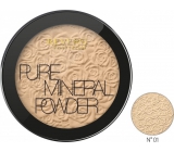 Reverz Mineral Pure Compact Powder kompaktný púder 01, 9 g