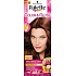 Palette Color & Gloss farba na vlasy 5 - 68