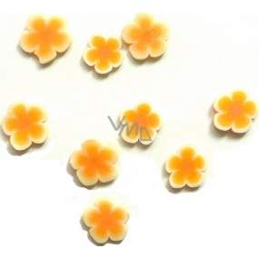 Professional Ozdoby na nechty kvety oranžovo-bielej 132 1 balenie