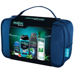 Palmolive Men Sport deodorant anti-perspirant roll-on 50 ml + Sport 3 v 1 sprchový gél 250 ml + Ivigorating šampón 350 ml + Sensitive pena na holenie 300 ml + etue, kozmetická sada