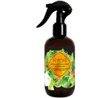 Ryor Hair Care urýchľovač rastu vlasov 3 mesačná kúra sprej 250 ml