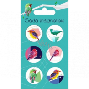 Albi Sada magnetov Vtáčiky 6 kusov