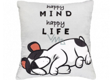 Albi Humorný vankúš veľký Happy Mind 36 x 30 cm