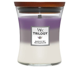 WoodWick Trilogy Amethyst Sky vonná sviečka s dreveným knôtom a skleneným viečkom stredná 275 g