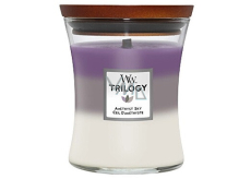 WoodWick Trilogy Amethyst Sky vonná sviečka s dreveným knôtom a skleneným viečkom stredná 275 g