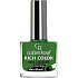 Golden Rose Rich Color Nail Lacquer lak na nechty 110 10,5 ml