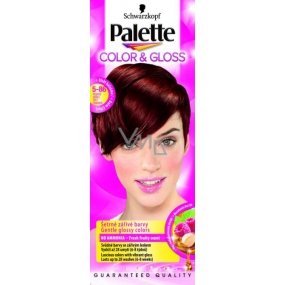Palette Color & Gloss farba na vlasy 5 - 86 Pikantná škorica