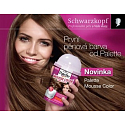 Palette Mousse Color Shake and color farba na vlasy 465 Čokoládovo hnedý