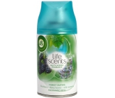 Air Wick FreshMatic Life Scents Forest Waters - Lesný potok náhradná náplň 250 ml