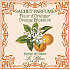 Le Blanc Orange Blossom - Pomarančový kvet Vonný sáčok 11 x 11 cm 8 g