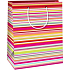 Ditipo Darčeková papierová taška 17,8 x 22,9 x 9,8 cm Farebné prúžky