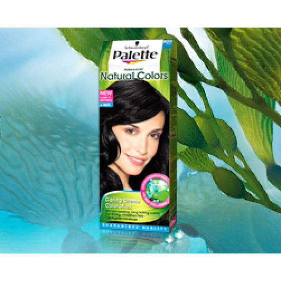 Schwarzkopf Palette Permanent Natural Colors farba na vlasy 900 čierny