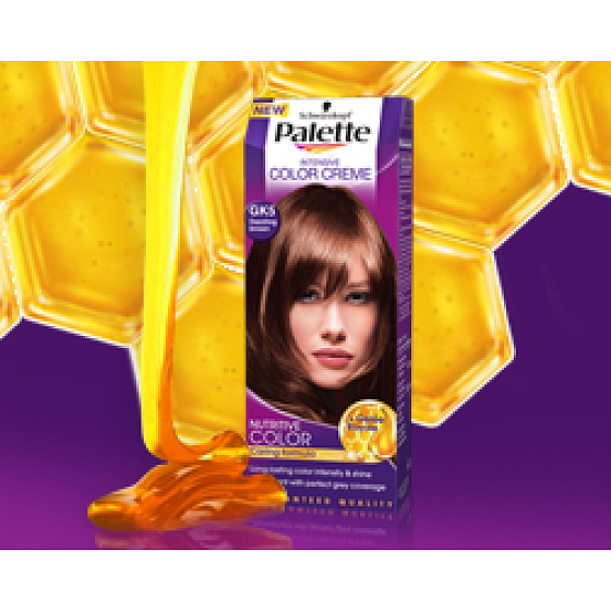 Palette Intensive Color Creme farba na vlasy odtieň GK5 oslnivo hnedý