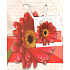 Nekupto Darčeková papierová taška 14 x 11 x 6,5 cm Gerbera, 091 30 KAS