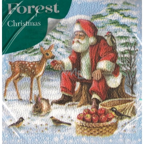 Forest Papierové obrúsky 1 vrstvové 33 x 33 cm 20 kusov Vianočné Santa a srneček