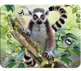 Prime3D magnet - Lemur 9 x 7 cm