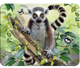 Prime3D magnet - Lemur 9 x 7 cm