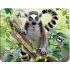 Prime3D magnet - Lemur 9 x 7 cm