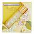 Heathcote & Ivory Neroli & Lime Leaves parfumovaný roll-on pre ženy 10 ml