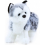 Rappa Plyšový pes Husky 20 x 10 x 20 cm