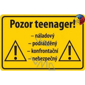 Nekupto Humorná ceduľka Pozor teenager! 15x10 cm 1 kus