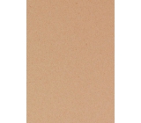 Ditipo Darčekový baliaci papier 70 x 300 cm Vianočný bez potlače
