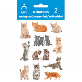 Arch Vodeodolné dekoračné samolepky Mačičky 9,5 x 6,5 cm
