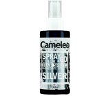 Delia Cosmetics Cameleo Spray & Go sprej na vlasy Silver 150 ml