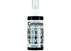 Delia Cosmetics Cameleo Spray & Go sprej na vlasy Silver 150 ml