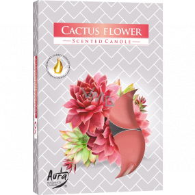 BISPOL Aura Cactus Flower - Kvet kaktusu vonné čajové sviečky 6 kusov