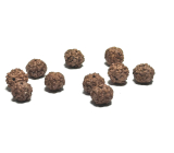 Rudraksha prírodný korálik 9 mm, 10 kusov