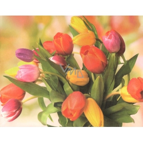 Nekupto Darčeková Kraftová taška 23 x 18 x 10 cm tulipány