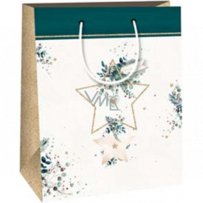 Ditipo Darčeková papierová taška 18 x 10 x 22,7 cm Vianočná biela - zelený pruh, hviezda