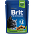 Brit Premium Kuracie kúsky pre kastrované mačky kompletné krmivo kapsička 100 g