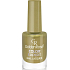 Golden Rose Color Expert lak na nechty 93 10,2 ml